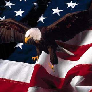 Eagle and American flag wallpaper