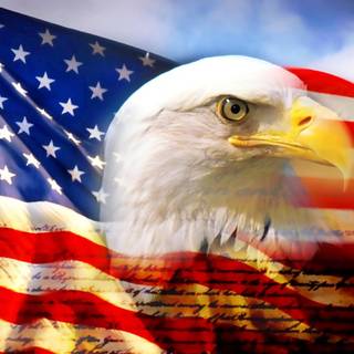 Eagle and American flag wallpaper