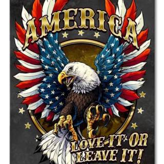 Eagle and American flag wallpaper