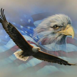 Eagle and American flag wallpaper