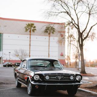 1960 cars wallpaper