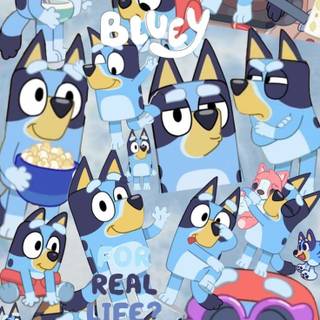 Bluey collage wallpaper