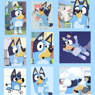 Bluey collage wallpaper