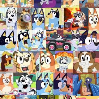 Bluey collage wallpaper