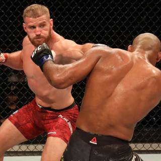 Jan Blachowicz wallpaper