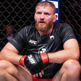 Jan Blachowicz wallpaper