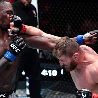 Jan Blachowicz wallpaper