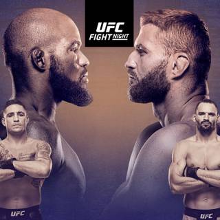 Jan Blachowicz wallpaper