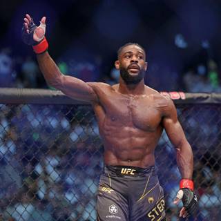 Aljamain Sterling wallpaper