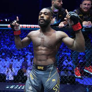 Aljamain Sterling wallpaper
