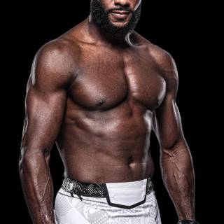 Aljamain Sterling wallpaper