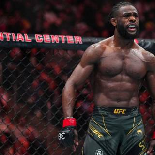 Aljamain Sterling wallpaper