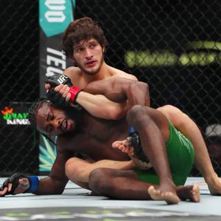 Aljamain Sterling wallpaper