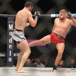 Jan Blachowicz wallpaper