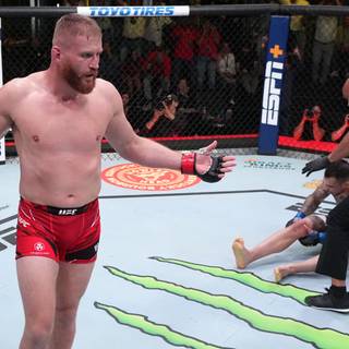Jan Blachowicz wallpaper