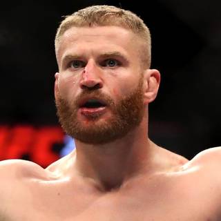 Jan Blachowicz wallpaper