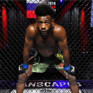Aljamain Sterling wallpaper