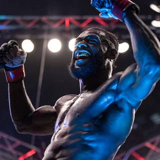 Aljamain Sterling wallpaper