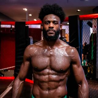 Aljamain Sterling wallpaper