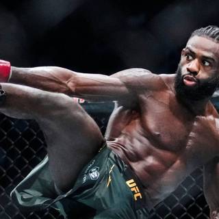 Aljamain Sterling wallpaper