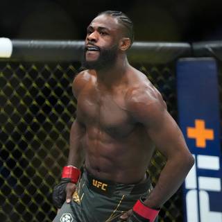 Aljamain Sterling wallpaper