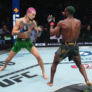 Aljamain Sterling wallpaper