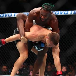 Aljamain Sterling wallpaper