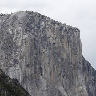 OS X El Capitan wallpaper
