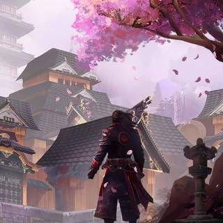 Samurai Sakura wallpaper