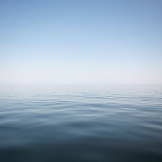 OS X El Capitan wallpaper