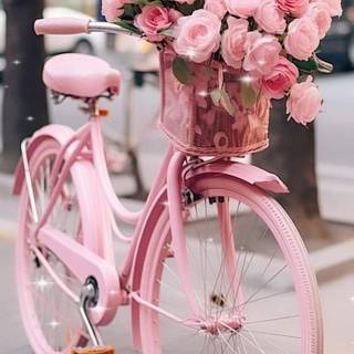 Pink bike wallpaper