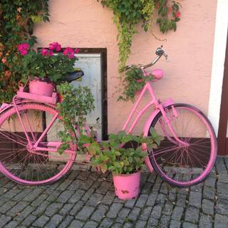 Pink bike wallpaper