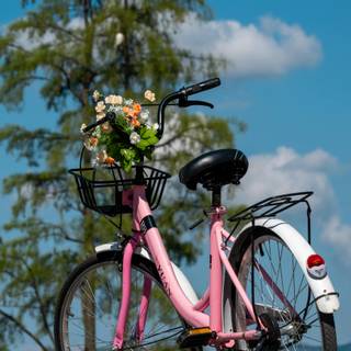 Pink bike wallpaper