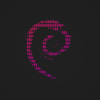Debian 13 wallpaper