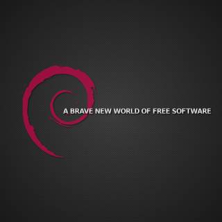 Debian 13 wallpaper