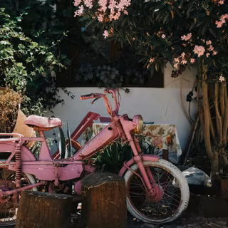 Pink bike wallpaper