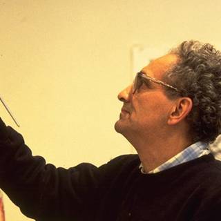 Frank Stella wallpaper