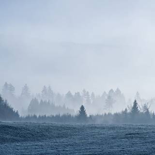 Foggy winter landscape wallpaper