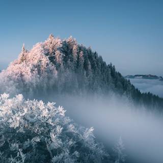 Foggy winter landscape wallpaper