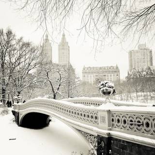 New York winter desktop wallpaper