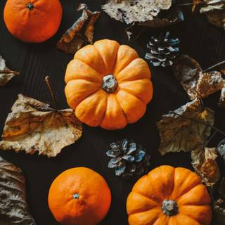 Autumn season black wallpaper