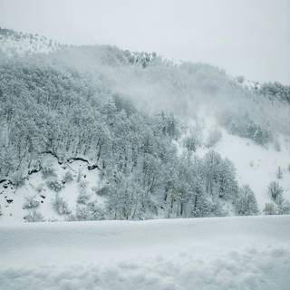 Foggy winter landscape wallpaper