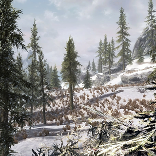 Videogame winter wallpaper