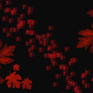 Autumn season black wallpaper