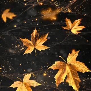 Autumn season black wallpaper