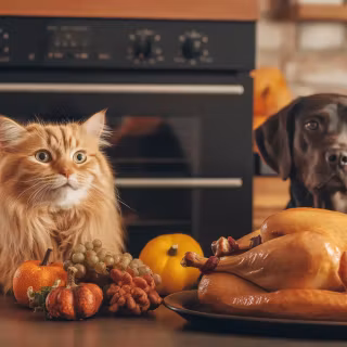 Thanksgiving cat and dog wallpaper