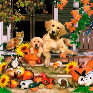 Thanksgiving cat and dog wallpaper