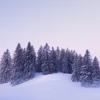 Foggy winter landscape wallpaper
