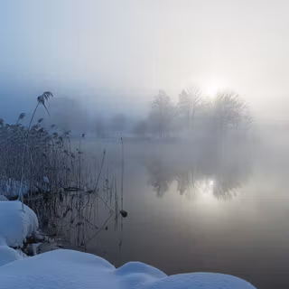 Foggy winter landscape wallpaper