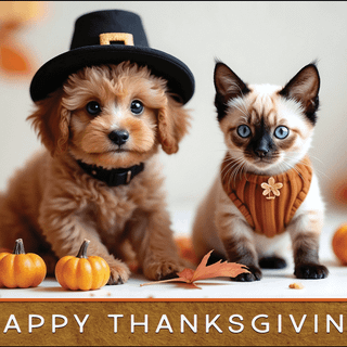Thanksgiving cat and dog wallpaper